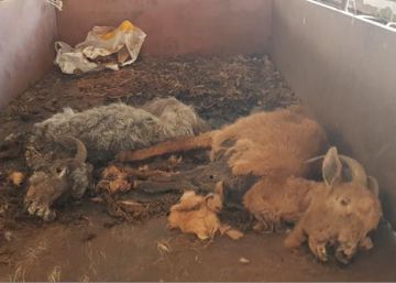 22.000 euros de subvención para la granja de los horrores