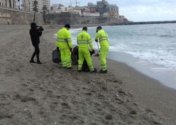 Medusas venenosas llegan a las playas alicantinas por los fuertes vientos