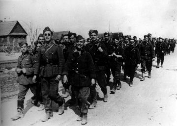 El Gobierno repatrió cuerpos de la División Azul tras eliminar ayudas a víctimas del franquismo