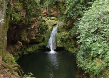 Dos niños de 13 años mueren en dos excursiones escolares en Cádiz y Córdoba