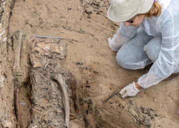 Localizados dos cadáveres de represaliados de la Guerra Civil en una fosa de Cádiz