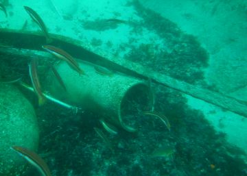 Hallado un submarino nazi en la costa de Galicia