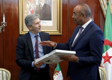 Grande-Marlaska aborda en Argel la inmigración y el terrorismo yihadista