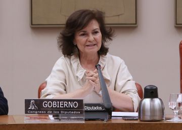 Incorporar el lenguaje inclusivo en la Constitución “requiere un referéndum”