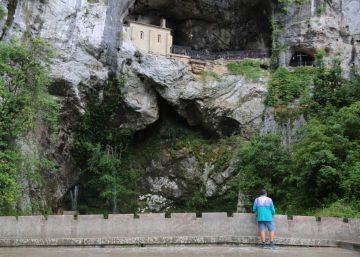 Picos de Europa, campo de batalla de ecologistas y ganaderos