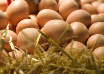 Noventa intoxicados por salmonelosis en un restaurante chino de Mérida