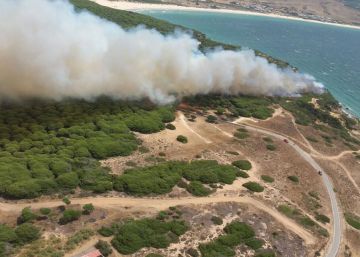 Estabilizado el incendio forestal entre las playas de Bolonia y del Cañuelo de Tarifa