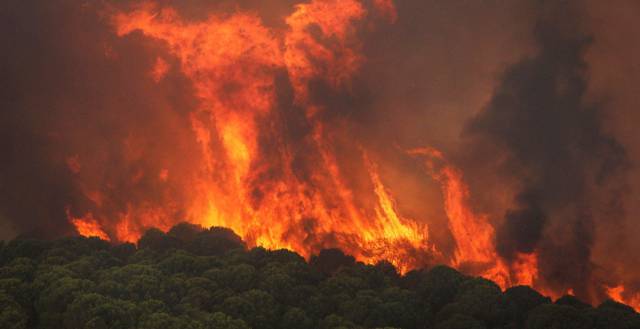 Efectivos del Plan Infoca trabajan en la extinción de un incendio declarado este jueves en el término municipal de Nerva (Huelva).