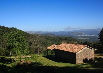 Un roble autóctono, el regalo por cada recién nacido en un municipio de Pontevedra