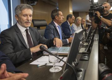 Así te hemos contado la comparecencia de Grande-Marlaska en el Congreso