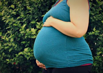 Exteriores pone bajo sospecha los casos de gestación subrogada en Ucrania