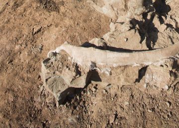 En busca de una nueva especie de dinosaurio en Morella