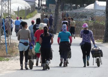 Casi 1.500 marroquíes aprovechan la campaña de la fresa de Huelva para quedarse en España