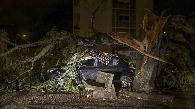 Un coche dañado por un árbol en Coimbra (Portugal) tras el paso de Leslie.