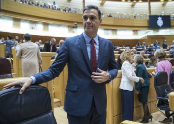Pedro Sánchez, en una imagen de archivo en el Senado.