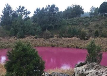 La laguna de Cuenca que se volvió rosa por un raro fenómeno químico