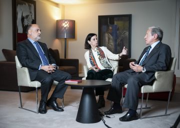 “Se traslada al Constitucional lo que la política podría haber resuelto”