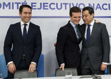 Vox emplaza a Ciudadanos a ir a su próxima cita con el PP para investir a Moreno