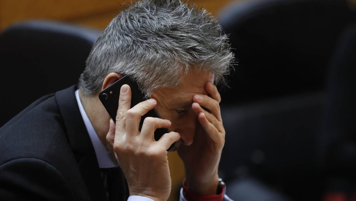 Grande-Marlaska, este martes en el Senado.
