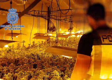 Marihuana sobre ruedas