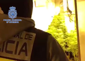 Cuatro detenidos por la desaparición de un joven en un presunto ajuste de cuentas en Granada