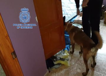Cae una red que introducía migrantes y hachís por las costas de Almería y Cádiz