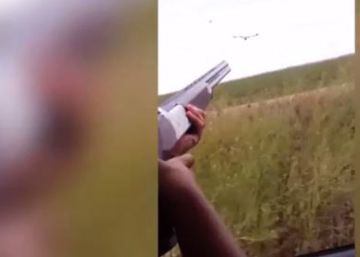 Investigado un hombre por alentar a su hijo menor de edad a disparar a aves protegidas desde un vehículo