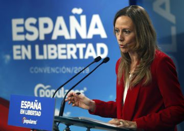 El PP se plantea citar a Vox en la comisión de investigación del Senado por su financiación