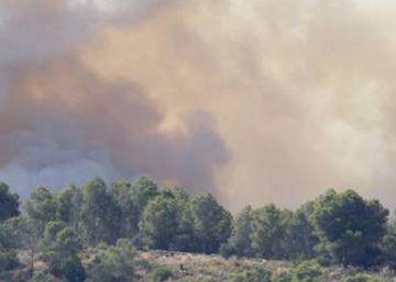 Cuatro meses de cárcel para un hombre que provocó un incendio en un parque natural de Castellón