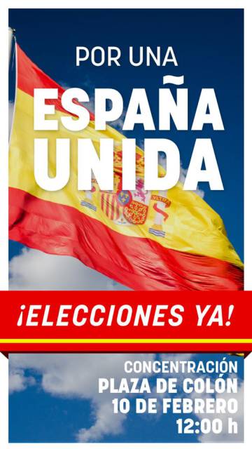 Manifestacion domingo Madrid