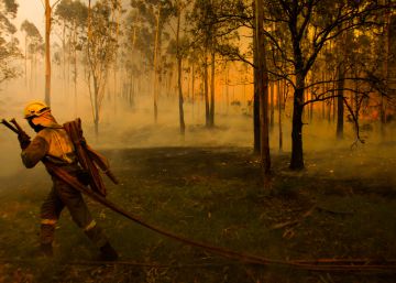 Condenada la Xunta por la muerte de un agente forestal en un incendio