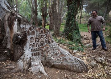 Los misteriosos castillos escondidos en un bosque de Málaga