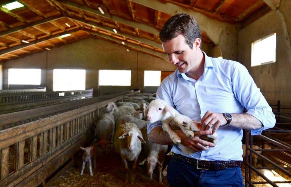 Elecciones 2019