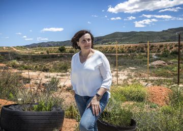 Viaje al pueblo más endeudado de España, que quiso crear un “mar interior”