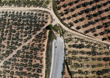 Espartinas: la desconexión de los ricos