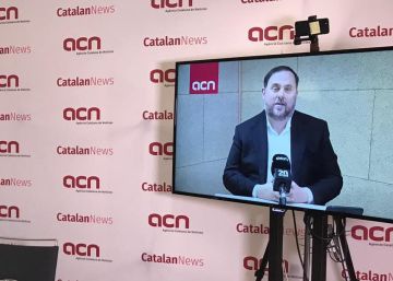 Junqueras anuncia que renunciará al acta de diputado si es elegido eurodiputado