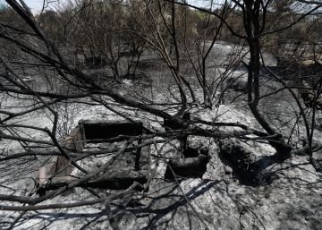 Els piròmans no són la causa dels grans incendis forestals