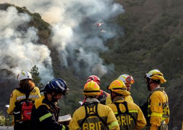 El incendio de Gran Canaria es el mayor siniestro forestal de España en los últimos seis años