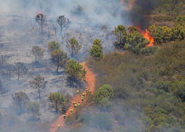 El fuego arrasa ya 290 hectáreas en Estepona y obliga a desalojar 600 viviendas