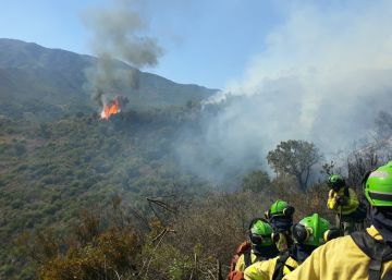 El incendio de Estepona, cerca de ser controlado tras arrasar 300 hectáreas