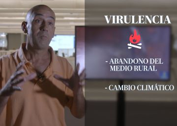 Vídeo: ¿Es el de Gran Canaria un incendio de sexta generación?