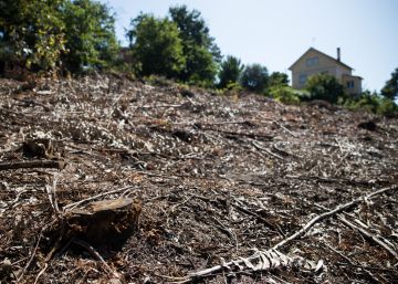 Galicia se blinda contra el fuego: multas de hasta 100.000 euros si no se limpian las fincas