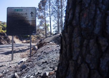 Los incendios calcinan más de 70.000 hectáreas en lo que va de año