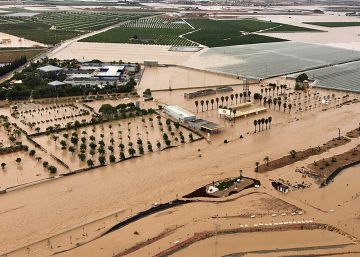 El temporal deja cinco muertos y desborda el río Segura El temporal deja cinco muertos y desborda el río Segura