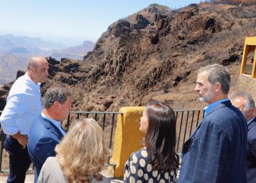 El Rey siente una “impresión muy fuerte” ante los daños del incendio de Gran Canaria