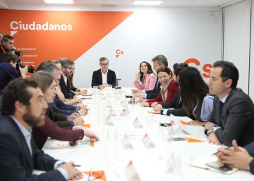 El presidente de la gestora de Ciudadanos tendrá amplias facultades sobre la dirección
