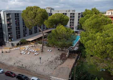 La fiscalía reclama hasta cuatro años para los jóvenes que participaron en una acción contra el turismo en Palma