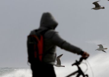 La borrasca Gloria genera la mayor ola jamás medida en el Mediterráneo occidental