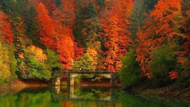 Si no te gusta el otoño es porque nunca has visitado la selva de Irati en Navarra