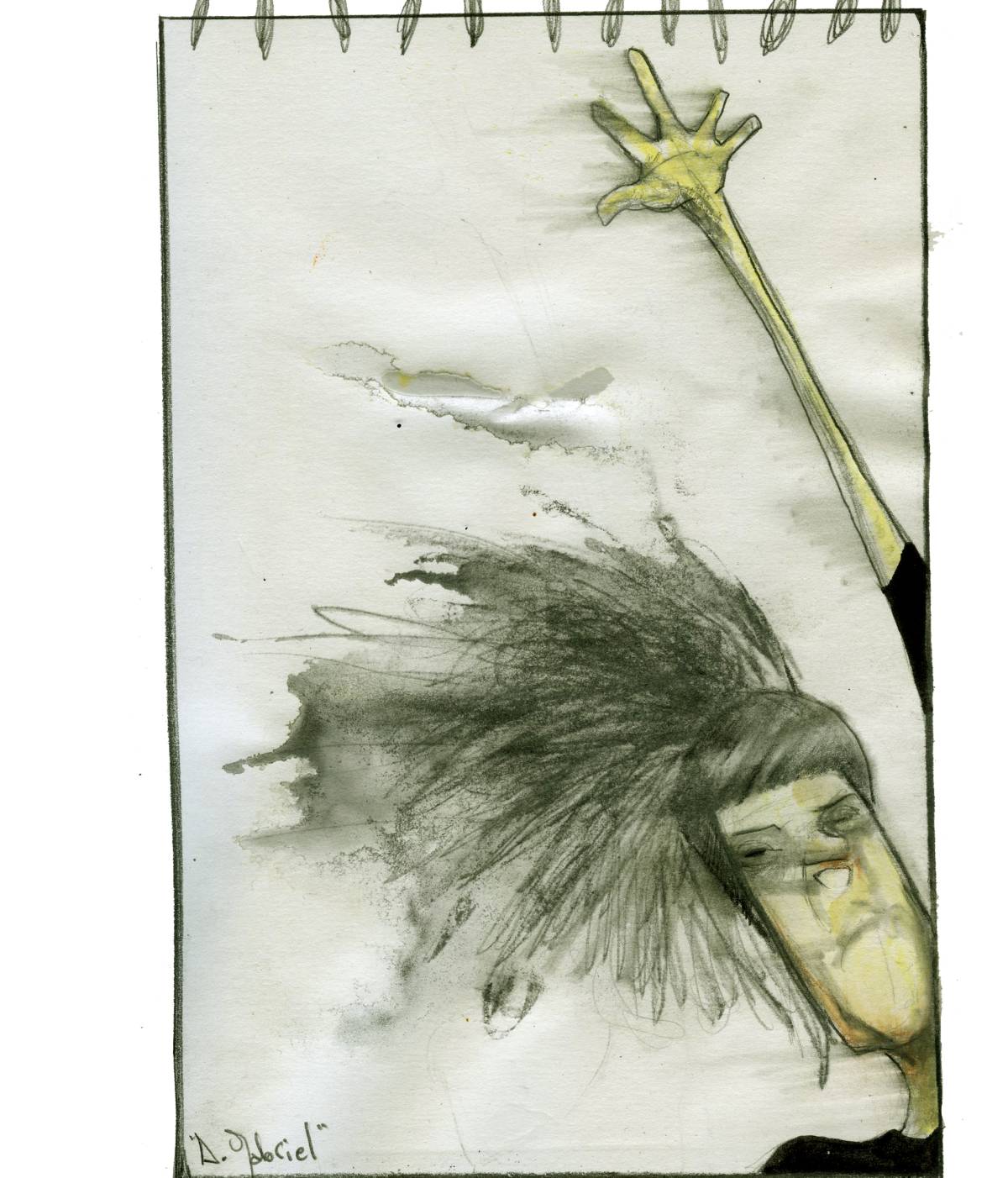"ANNA GABRIEL"